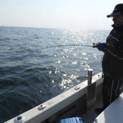 Fisherman Dreams DI 釣果