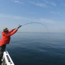 Fisherman Dreams DI 釣果