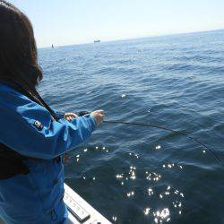 Fisherman Dreams DI 釣果