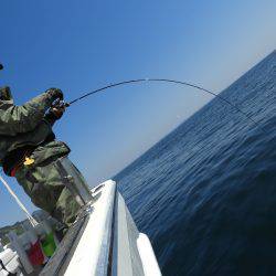 Fisherman Dreams DI 釣果