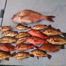 第二常豊丸 釣果