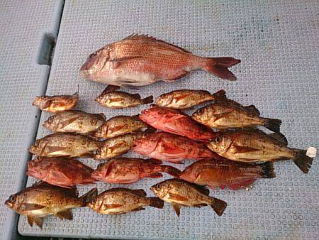 第二常豊丸 釣果