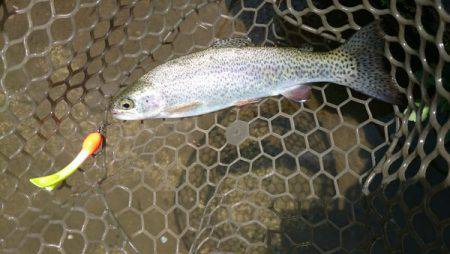 フィッシングエリア帝釈 釣果