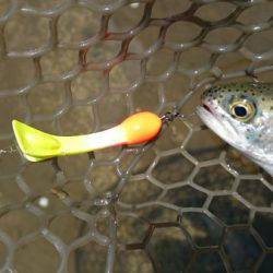 フィッシングエリア帝釈 釣果