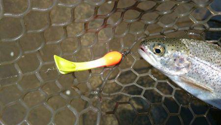 フィッシングエリア帝釈 釣果