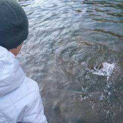 フィッシングエリア帝釈 釣果