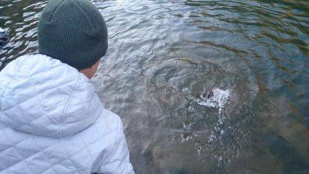 フィッシングエリア帝釈 釣果