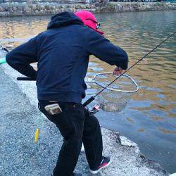 フィッシングエリア帝釈 釣果