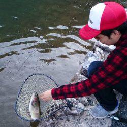 フィッシングエリア帝釈 釣果