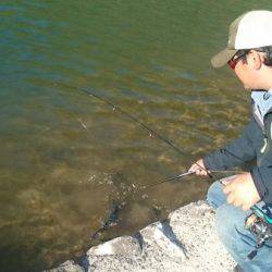 フィッシングエリア帝釈 釣果