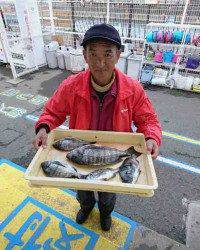 和歌山マリーナシティ釣り公園 釣果