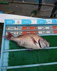 和歌山マリーナシティ釣り公園 釣果
