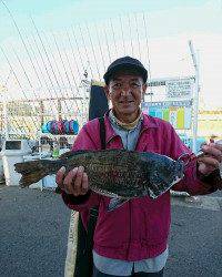 和歌山マリーナシティ釣り公園 釣果
