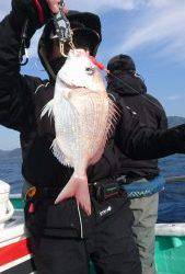愛海丸 釣果