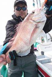 愛海丸 釣果