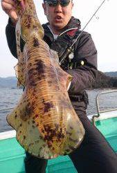 愛海丸 釣果