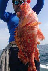 愛海丸 釣果