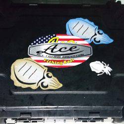 フィッシングボートACE(エース) 釣果