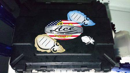 フィッシングボートACE(エース) 釣果