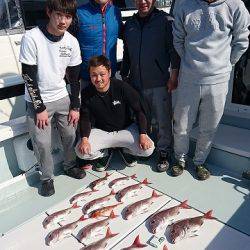 フィッシングボートACE（エース） 釣果