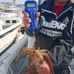 フィッシングボートACE（エース） 釣果