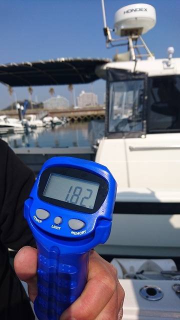 フィッシングボートACE（エース） 釣果