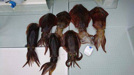 フィッシングボートACE(エース) 釣果