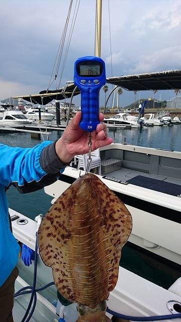 フィッシングボートACE(エース) 釣果