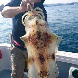 フィッシングボートACE(エース) 釣果