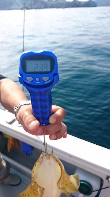 フィッシングボートACE(エース) 釣果