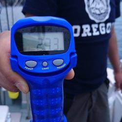 フィッシングボートACE(エース) 釣果