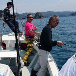 フィッシングボートACE(エース) 釣果