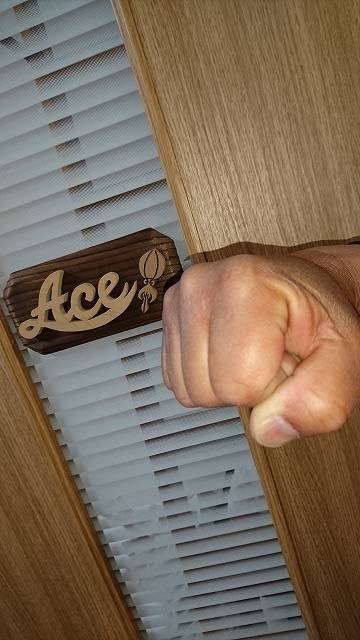 フィッシングボートACE(エース) 釣果