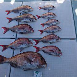 フィッシングボートACE(エース) 釣果