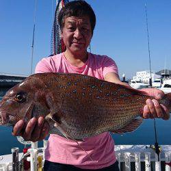 フィッシングボートACE(エース) 釣果