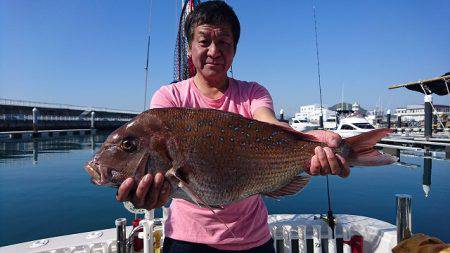 フィッシングボートACE(エース) 釣果