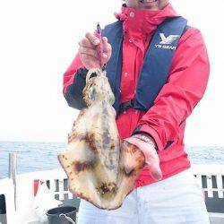 フィッシングボートACE(エース) 釣果