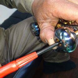 フィッシングボートACE(エース) 釣果