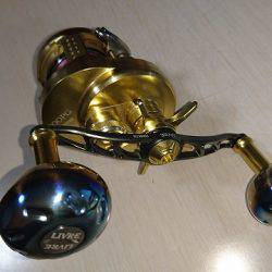 フィッシングボートACE(エース) 釣果