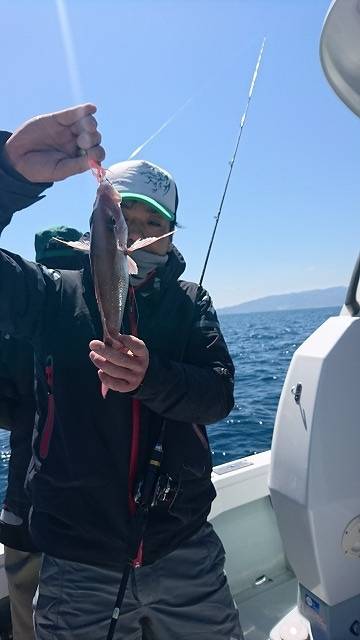 フィッシングボートACE（エース） 釣果