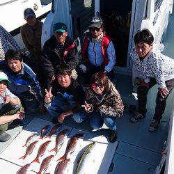 フィッシングボートACE（エース） 釣果