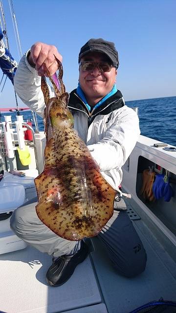 フィッシングボートACE（エース） 釣果