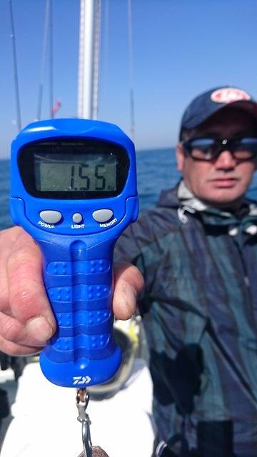 フィッシングボートACE（エース） 釣果