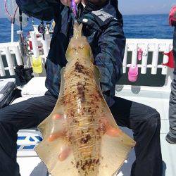 フィッシングボートACE（エース） 釣果