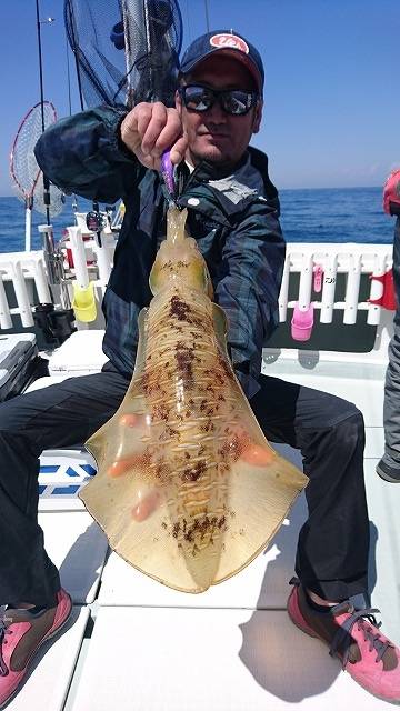 フィッシングボートACE（エース） 釣果