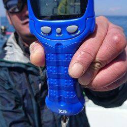 フィッシングボートACE（エース） 釣果