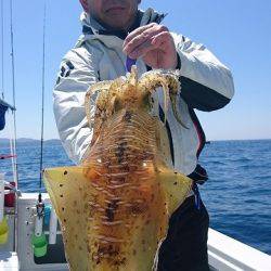 フィッシングボートACE（エース） 釣果