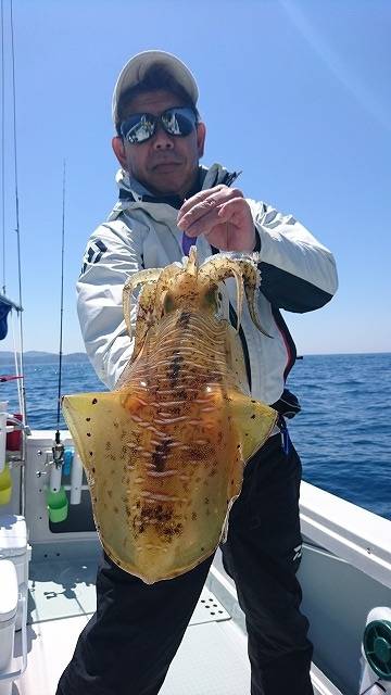 フィッシングボートACE（エース） 釣果