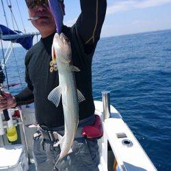 フィッシングボートACE（エース） 釣果