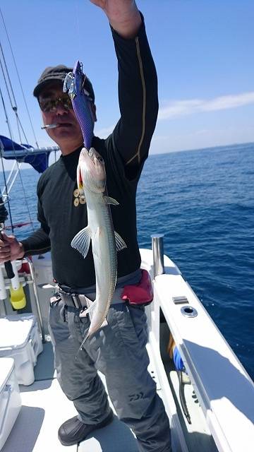 フィッシングボートACE（エース） 釣果